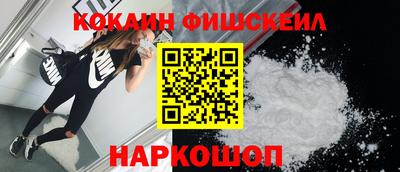 индика Заводоуковск