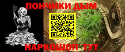 индика Заводоуковск