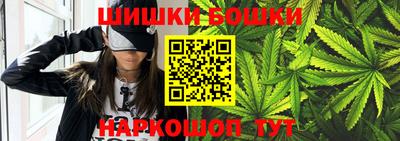 индика Заводоуковск