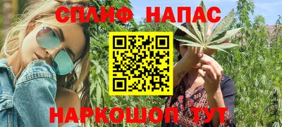 прущие грибы Заволжье
