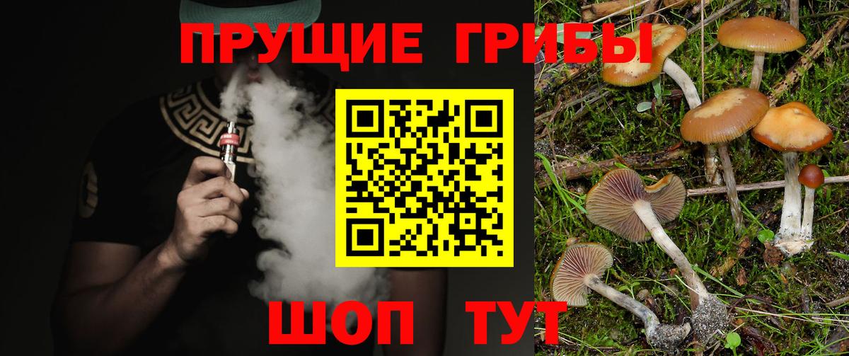 Псилоцибиновые грибы мухоморы  Псилоцибиновые грибы Cubensis  Вход с VPN  Великие Луки 